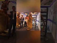 시드니 건축 전시회 에 가는 유익 한 여행